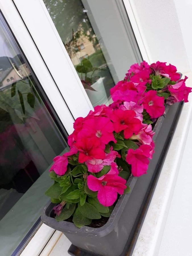 Mistel Apartman โบเดนสดอร์ฟ ภายนอก รูปภาพ
